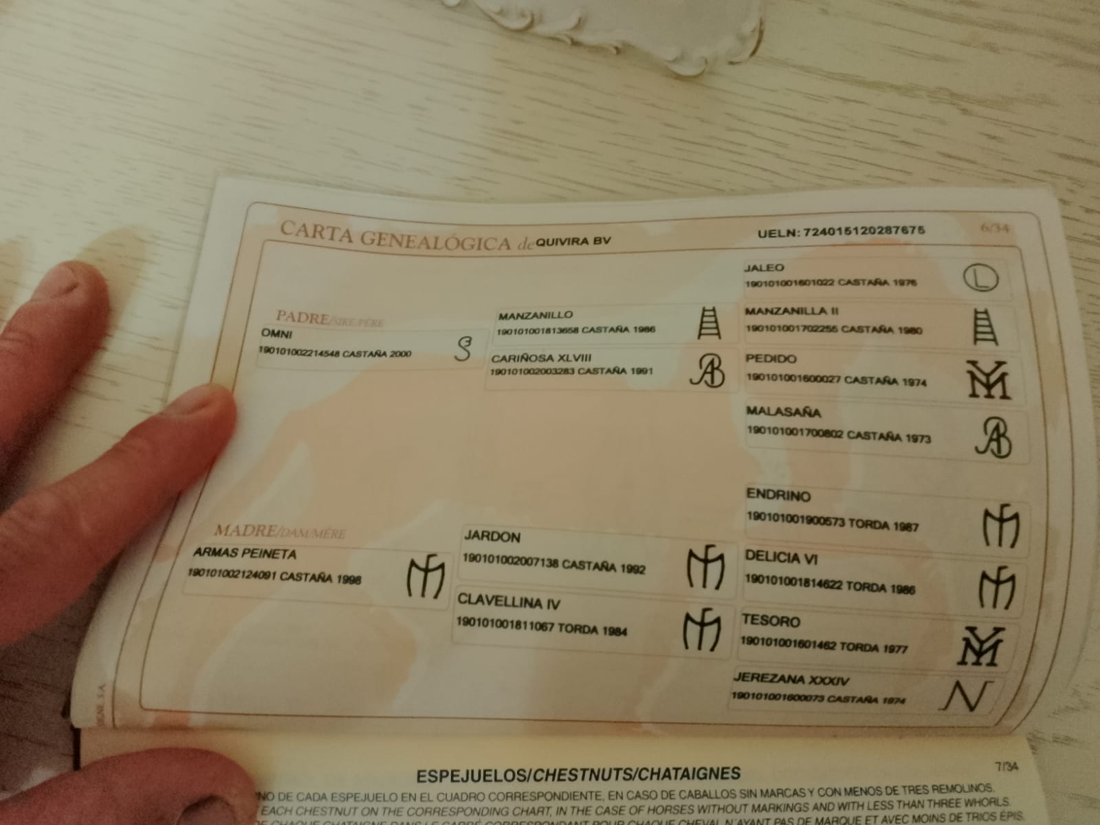 QUIRITA BV — foto 3
