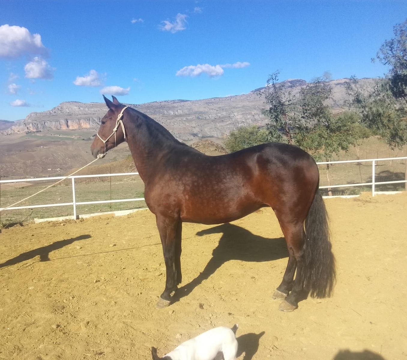 QUIRITA BV