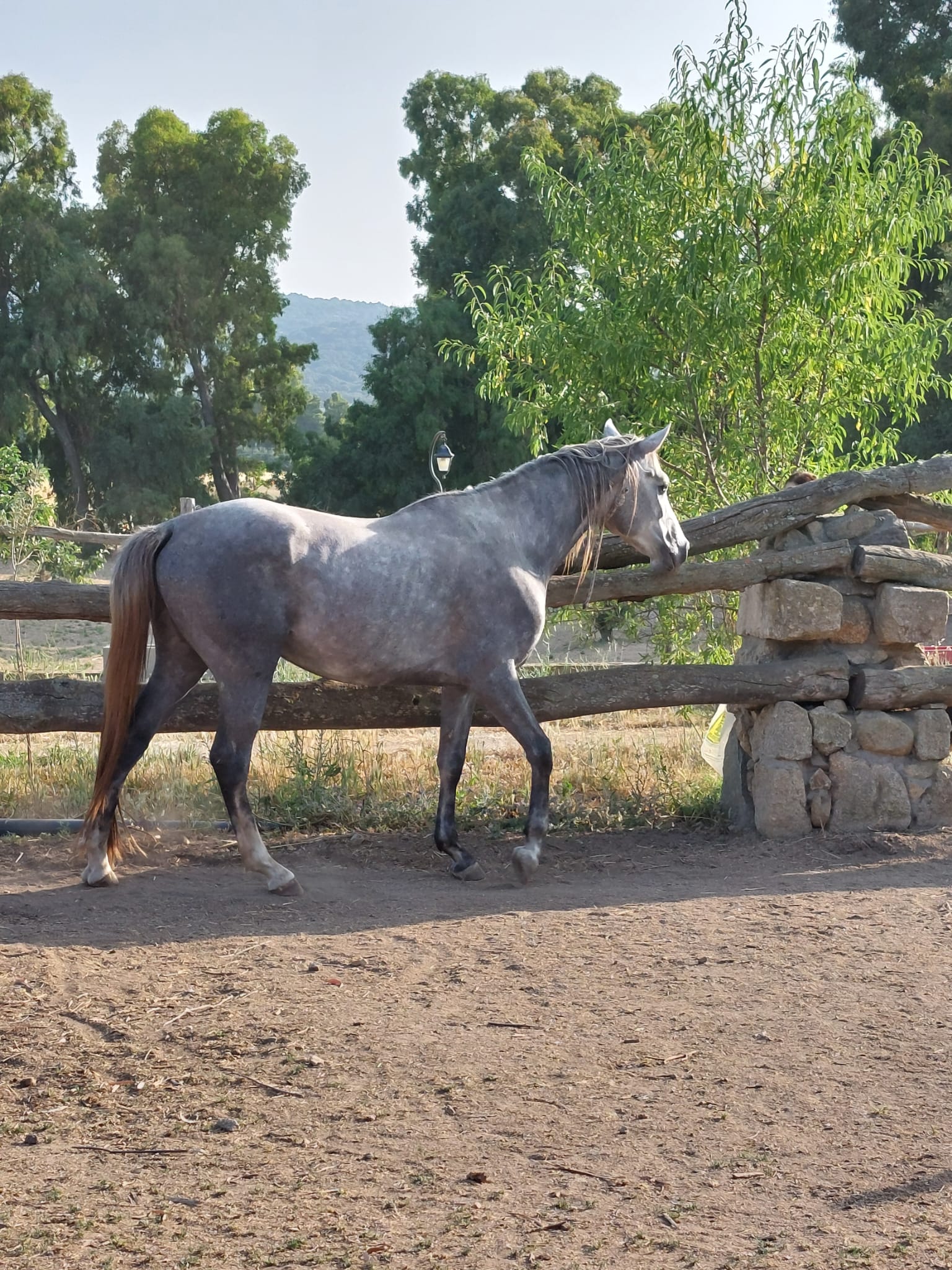 Gulliver — foto 2