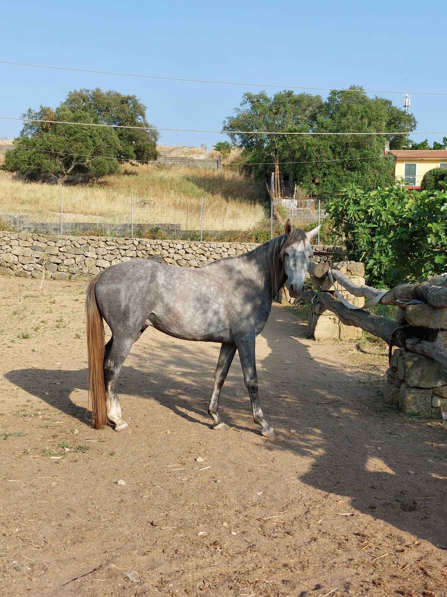 Gulliver — foto 4