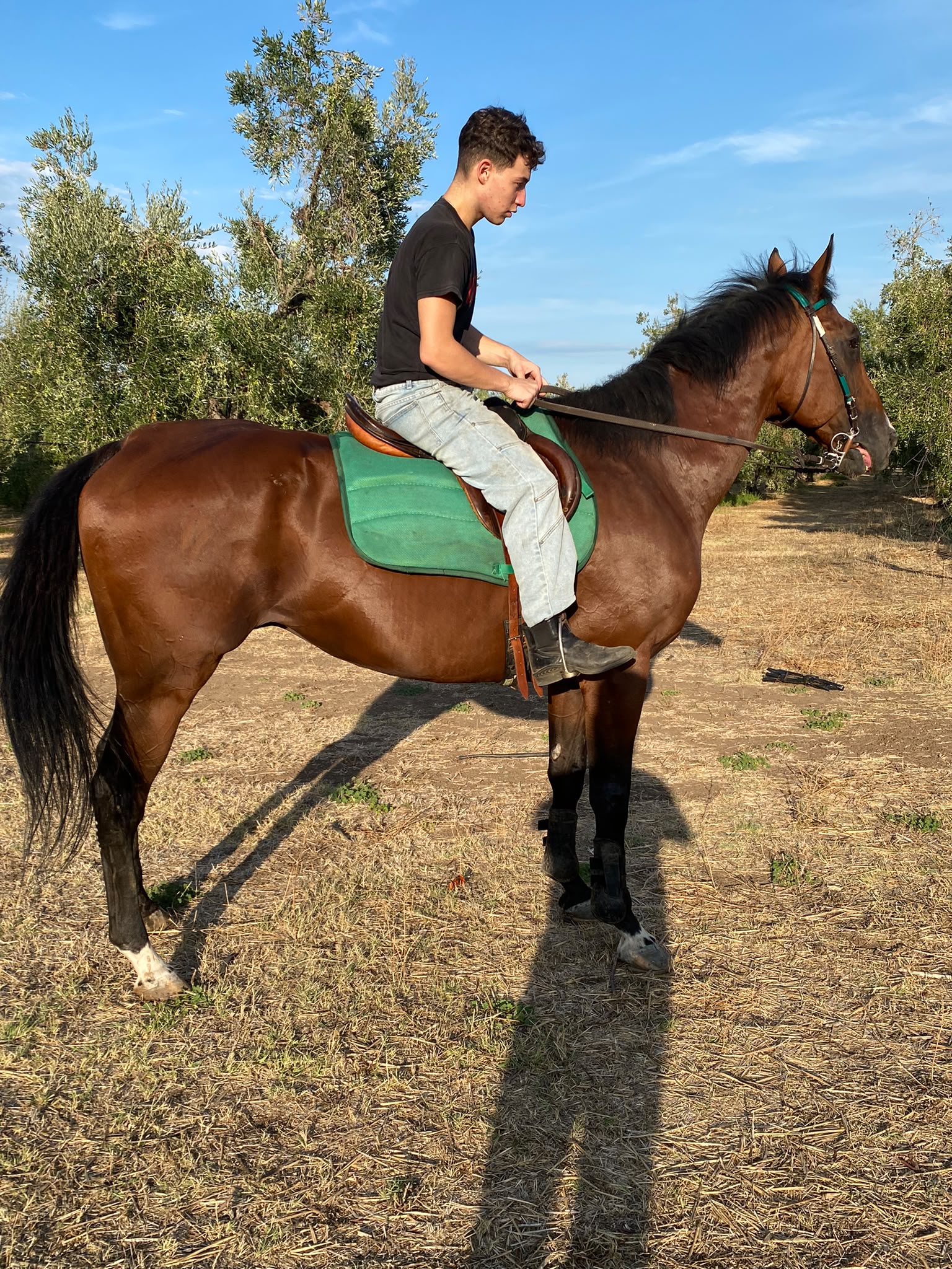 Apache Million — foto 2