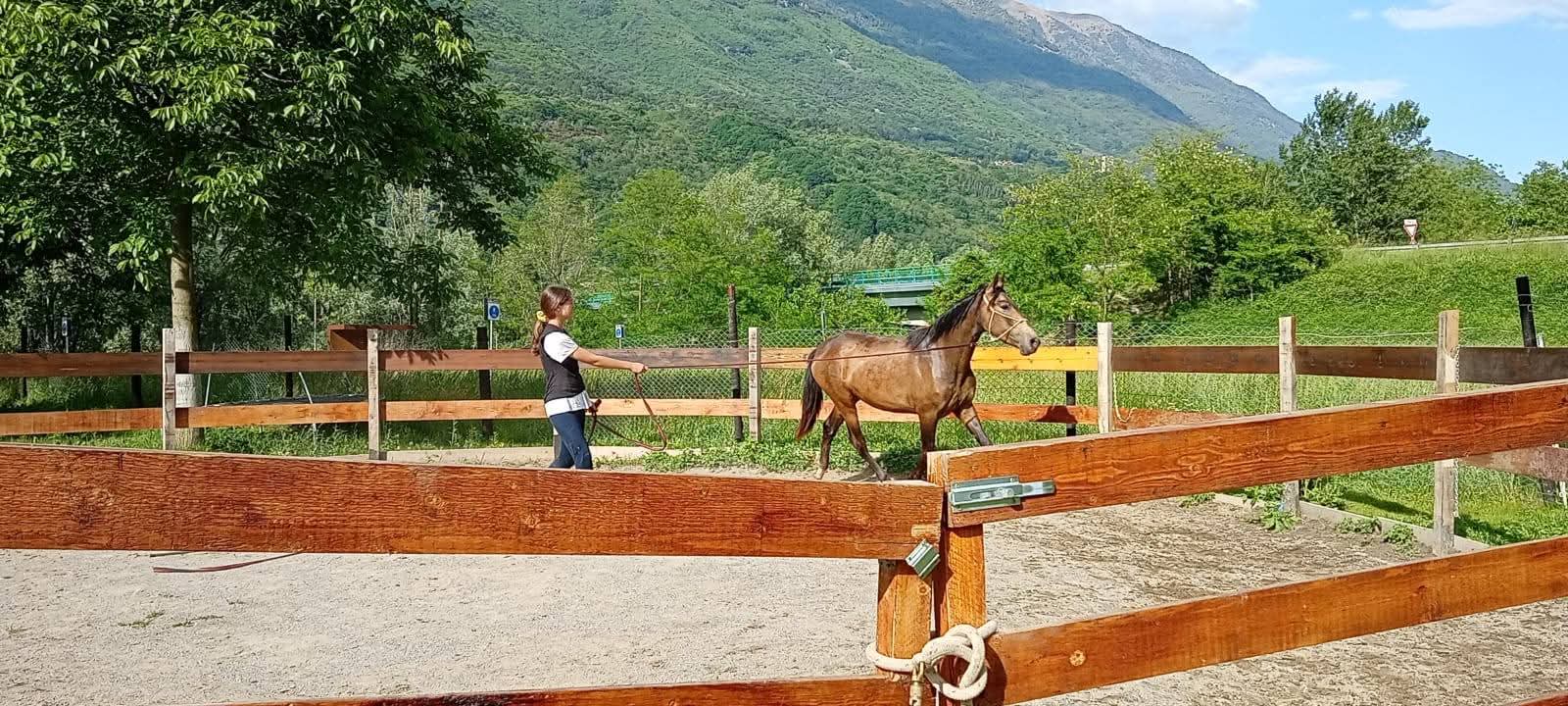 Elegida CMVI — foto 3