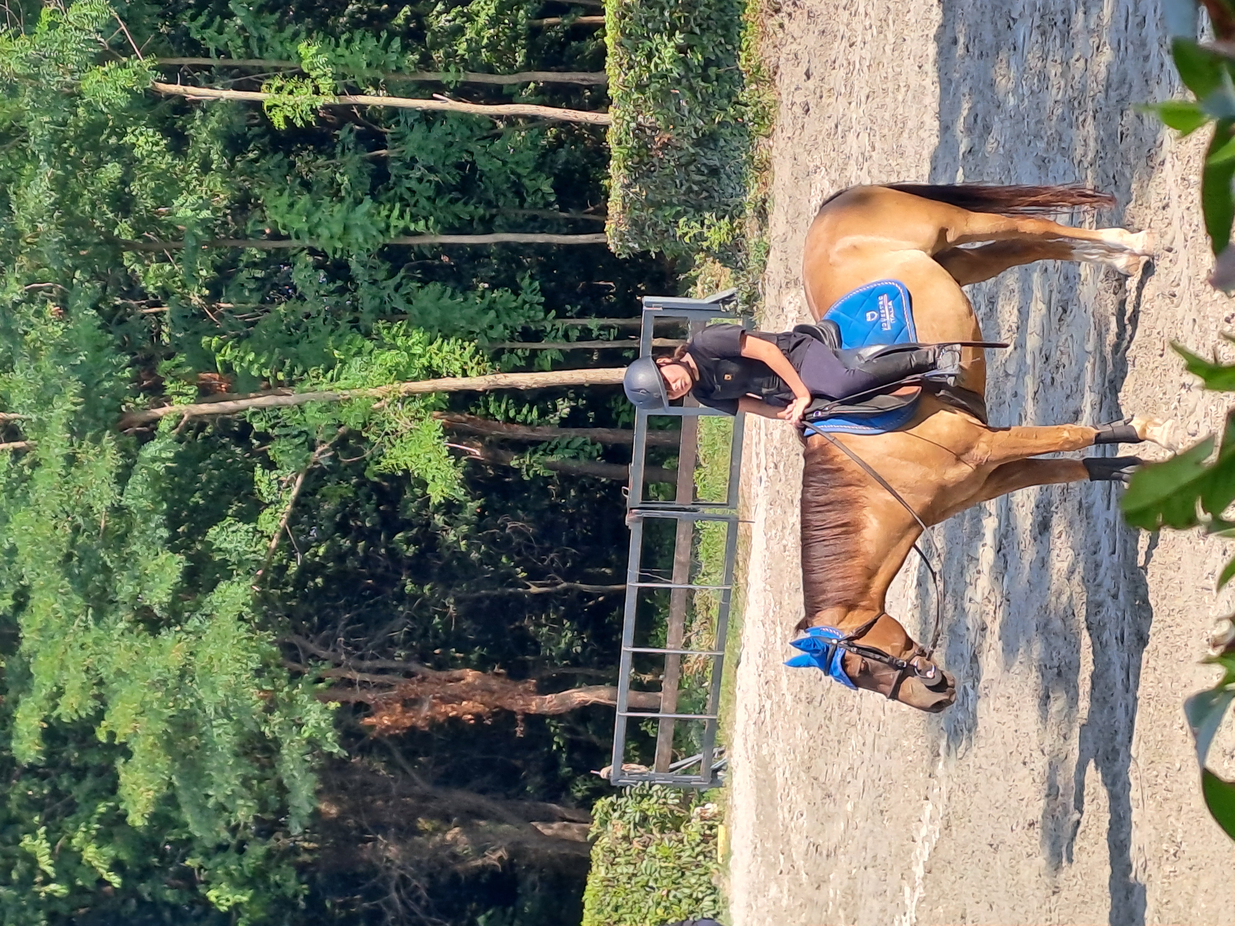 Eclat des faings — foto 2