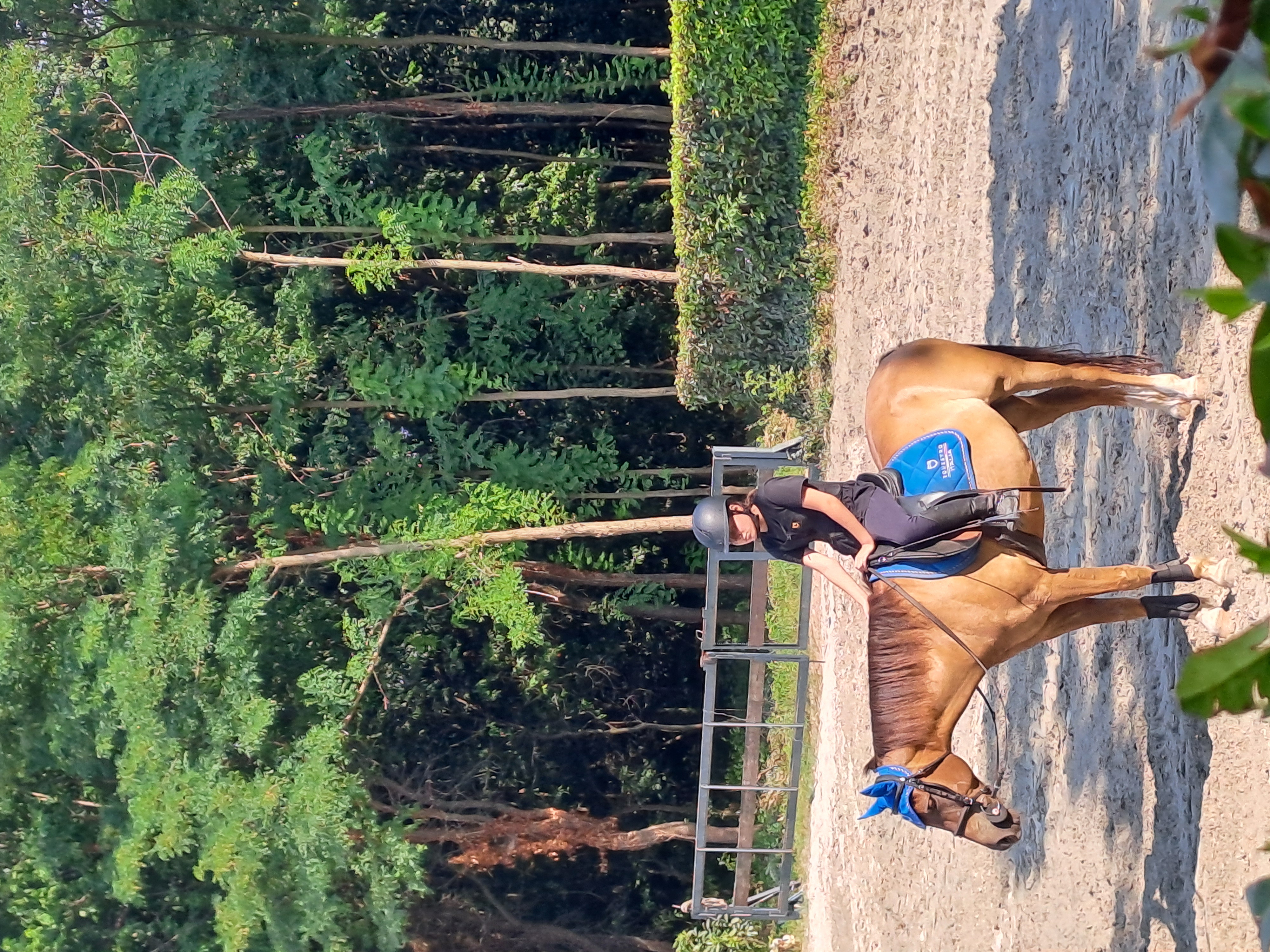 Eclat des faings — foto 3