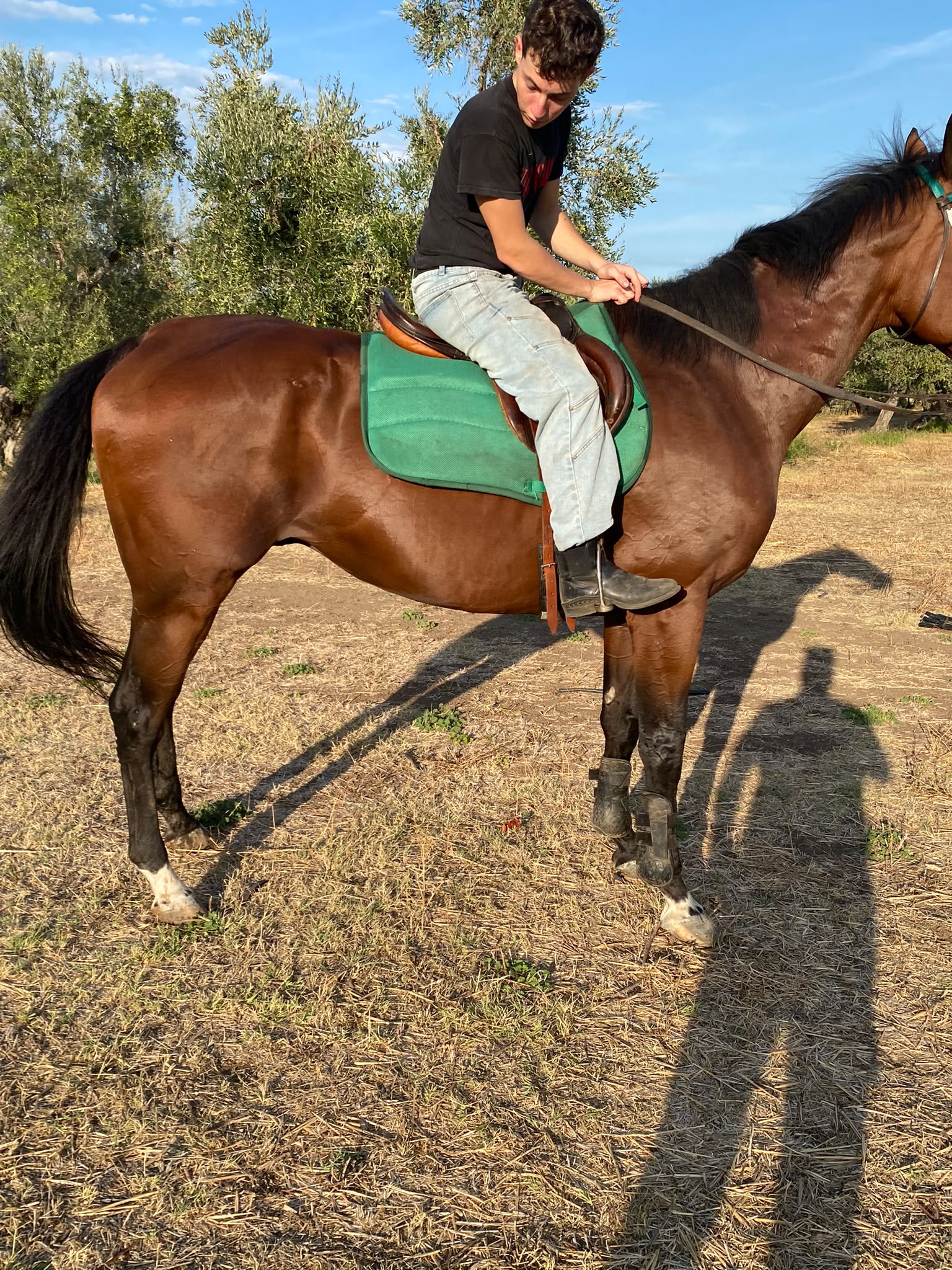 Apache Million