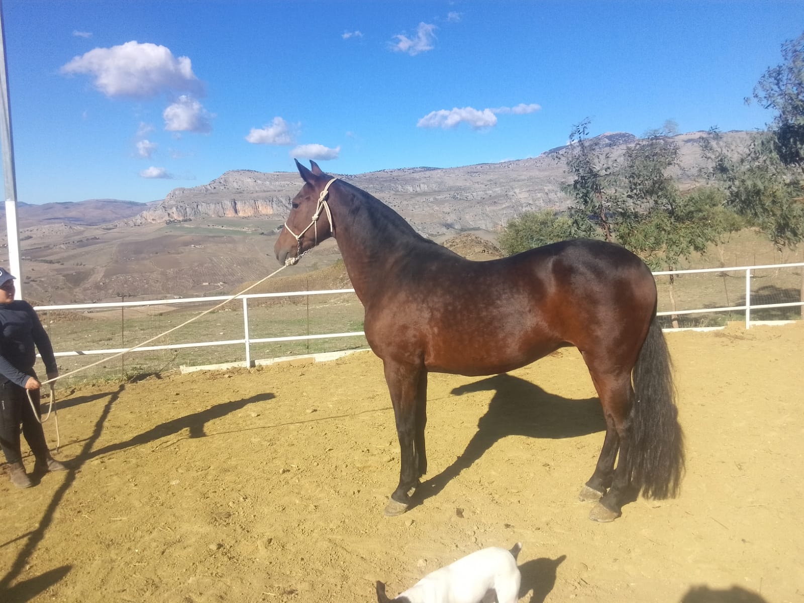QUIRITA BV — foto 5