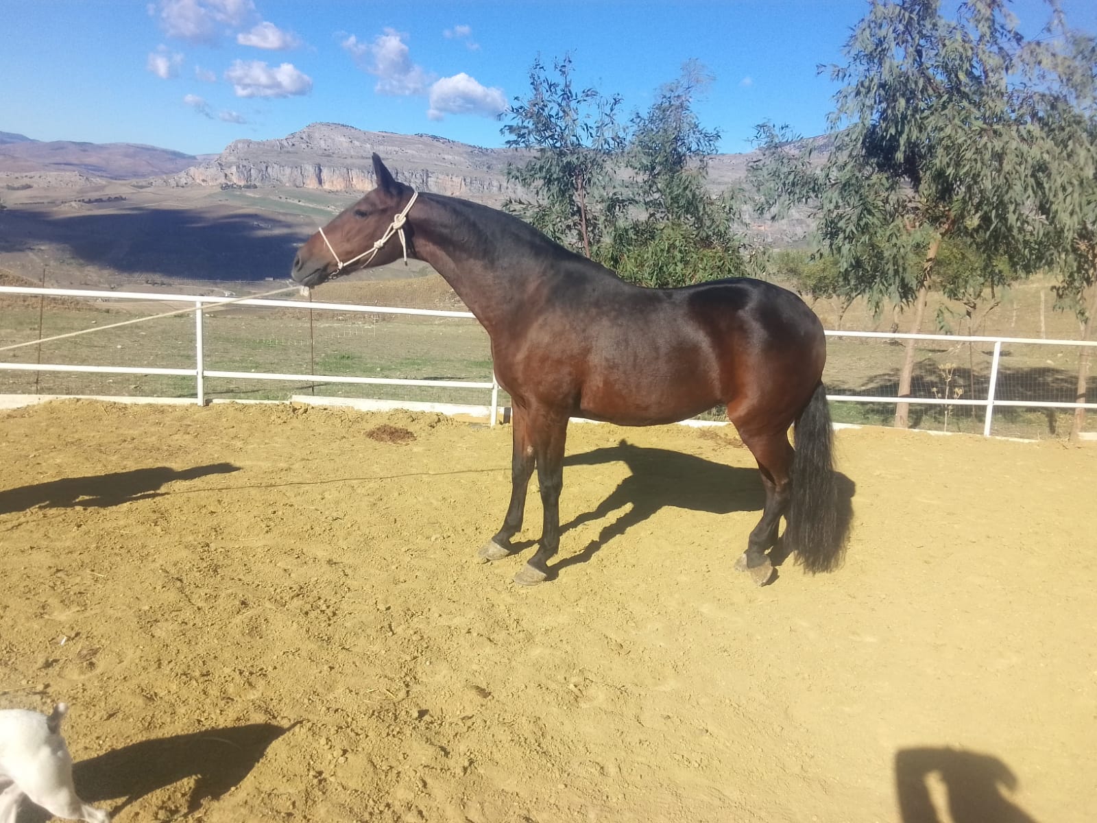 QUIRITA BV — foto 4
